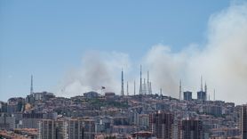 Eymir Gölü Yakınında Yangın Çıktı