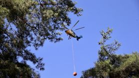 Fethiye'de Orman Yangını Kontrol Altına Alındı