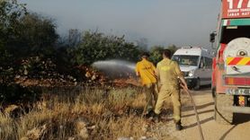 Gaziantep'te Orman Yangınına Müdahale Başlatıldı