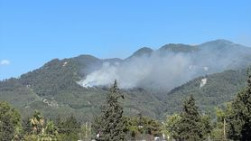 Hatay Dörtyol'da Orman Yangınıyla Mücadele Sürüyor