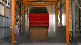 Iğdır'da Hububat Üretimi Lisanslı Depoculuk ile Güçleniyor