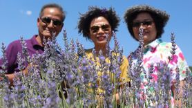 Isparta'da Lavanta Bahçeleri Turistlerin Akınına Uğradı