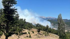 Isparta'da Orman Yangını Kontrol Altına Alınmaya Çalışılıyor