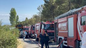 İstanbul Aydos Ormanı'ndaki Yangın Kontrol Altına Alındı
