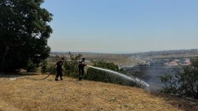 İstanbul'da Otluk Alanda Yangın Kontrol Altına Alındı