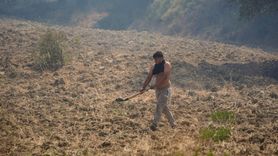 İzmir Bornova'daki Orman Yangınına Müdahale