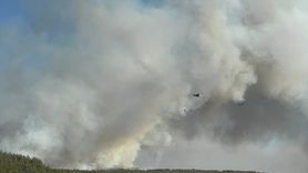 İzmir Buca'da Orman Yangınına Müdahale Devam Ediyor