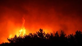 İzmir Buca'daki Orman Yangınına Hızla Müdahale Başlatıldı