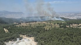 İzmir Buca'daki Orman Yangınına Müdahale