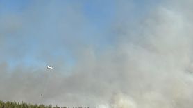 İzmir Buca'daki Orman Yangınına Müdahale Devam Ediyor