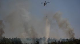 İzmir'de Orman Yangınına Hızlı Müdahale