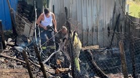 Kağıthane'deki Ağaç Yangını Kontrole Alındı