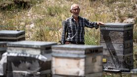 Kanseri Yenen 79 Yaşındaki Mehmet Dede Arıcılıkla Hayatını Yeniliyor