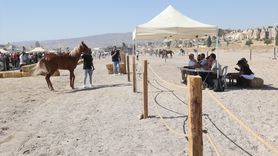 Kapadokya'da At Güzellik Yarışması Coşkusu