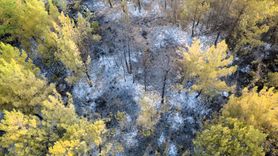 Karabük'te Orman Yangını Kontrol Altına Alındı