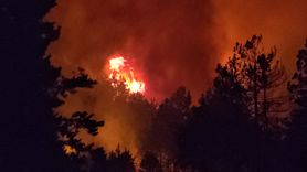 Karabük'te Orman Yangınına Hızla Müdahale Ediliyor