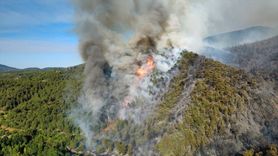 Karabük'te Orman Yangınına Hızla Müdahale Ediliyor