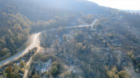 Karabük'te Orman Yangınları Kontrol Altında