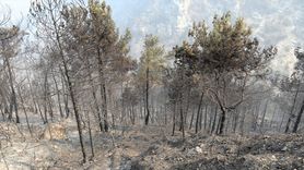 Karabük'teki Orman Yangınları Üçüncü Gününde
