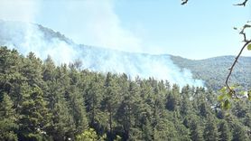Kaş'taki Orman Yangınına Hızla Müdahale Başlatıldı