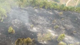 KFOR, Kosova'daki Orman Yangınlarına Müdahale Ediyor