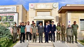 Kırşehir'den Bozkır'a Özgürlüğe Uçuş: 25 Kuş Yeniden Doğayla Buluştu