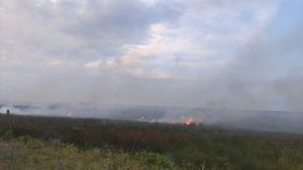 Kızılırmak Deltası Kuş Cenneti'ndeki Yangın Kontrol Altına Alındı