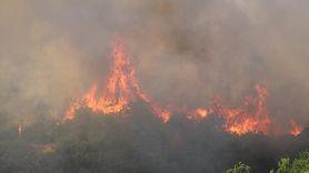 Kocaeli'de Makilik ve Ağaçlık Alanda Yangın Çıktı