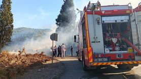 Kocaeli'de Orman Yangınına Müdahale Devam Ediyor