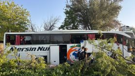 Konya'da Yolcu Otobüsü Ağaçlara Çarptı, 7 Yaralı