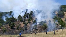 Konya'daki Orman Yangınına Hızla Müdahale Ediliyor
