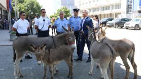 Kosova Meclisindeki Başkan Seçim Sorunu Protesto Edildi