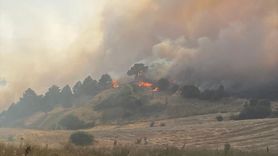 Kütahya'da Orman Yangınına Hızlı Müdahale