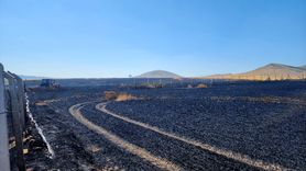 Kütahya'da Yangın 800 Dekar Ekin Zarar Görmesine Neden Oldu