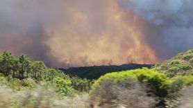 Lazkiye'deki Orman Yangınları 7. Gününde