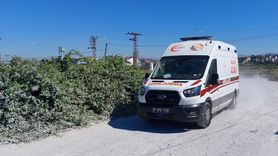 Manavgat'ta Aslan Saldırısı: Yaralı ve Kaçış Devam Ediyor