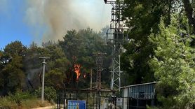 Manavgat'ta Orman Yangınına Müdahale Başladı