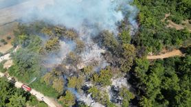 Manavgat'taki Orman Yangını Kontrol Altına Alındı