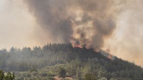 Manisa'daki Orman Yangınlarında Müdahale Tüm Hızıyla Devam Ediyor