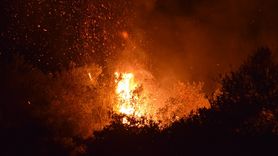 Manisa'da Tarım Arazisine Sıçrayan Yangın Kontrol Altına Alındı