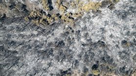 Manisa'daki Orman Yangınlarının Havadan Görüntüleri