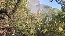 Mersin Anamur'daki Orman Yangını Kontrol Altına Alındı
