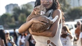 Mersin'de Patili Dostlar Buluşması Heyecanı