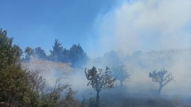 Mersin'deki Tarım Arazisinde Yangın Kontrol Altına Alındı