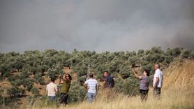 Milas'ta İkinci Orman Yangını Çıkmış Olabilir