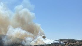 Milas'ta Ziraat Alanında Yangın Kontrol Altına Alındı