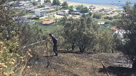 Mudanya'da Zeytinlik Yangını Kontrol Altına Alındı