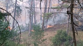 Mudurnu'da Orman Yangınına Hızlı Müdahale