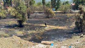 Muğla'da Yangın Kontrol Altına Alındı