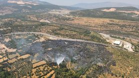 Muğla'daki Tarım Arazisi Yangını Kontrol Altına Alındı